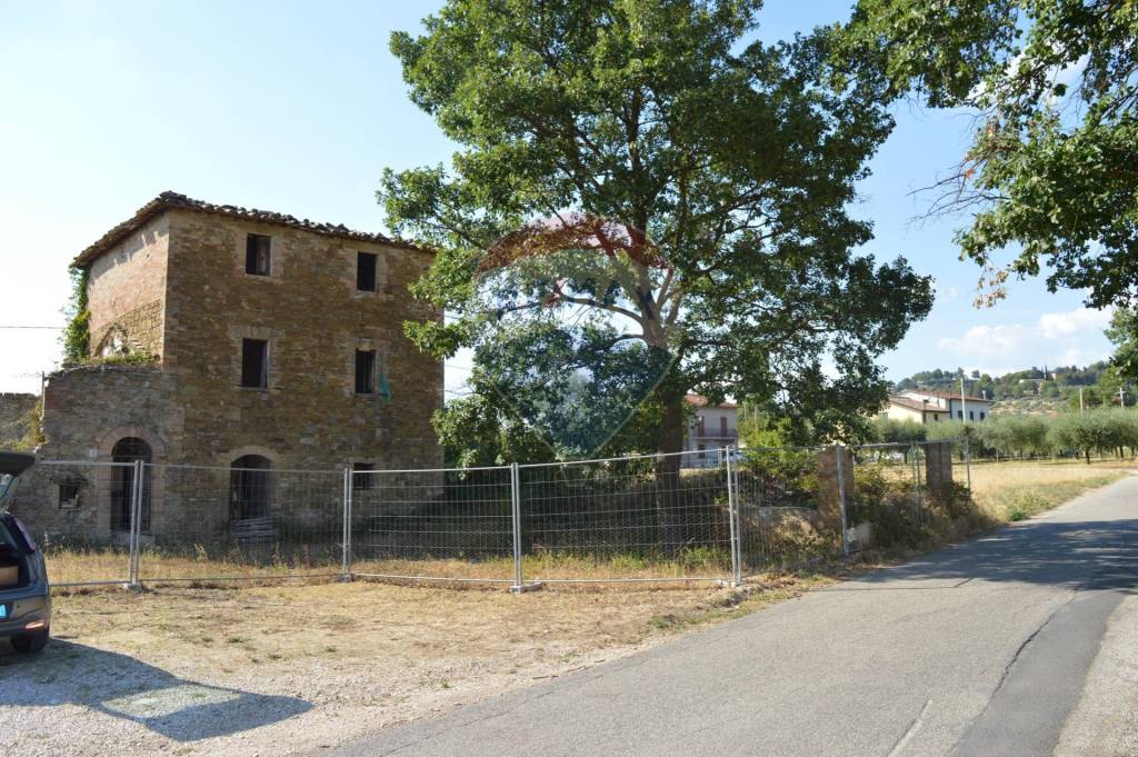 immagine annuncio 10 di 14