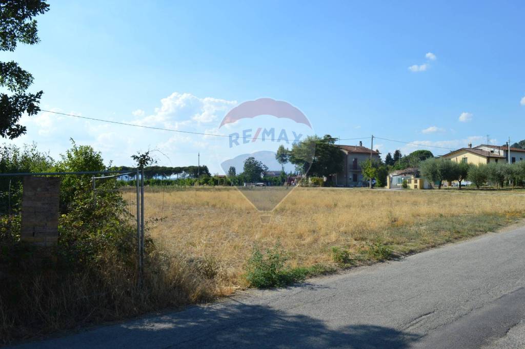 immagine annuncio 12 di 14