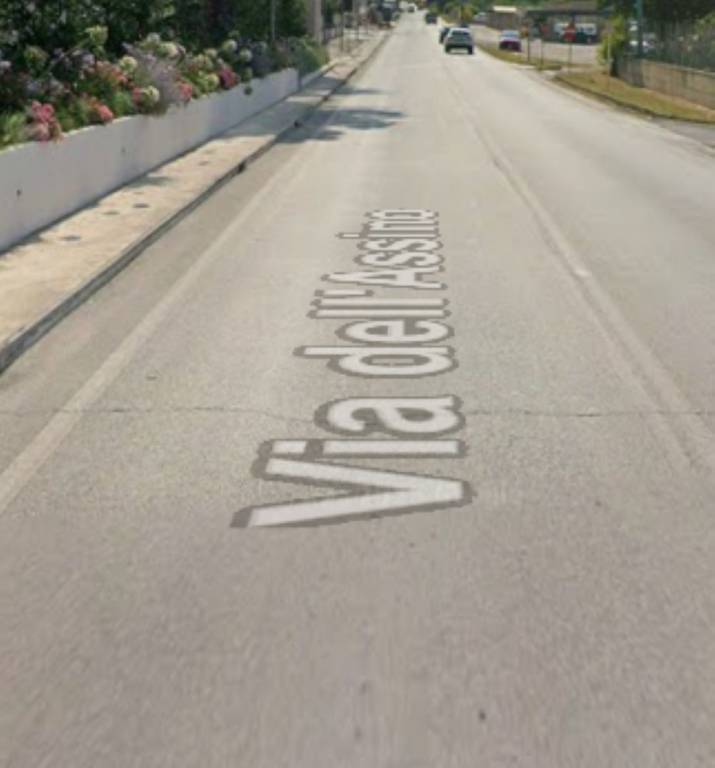 immagine annuncio 10 di 11