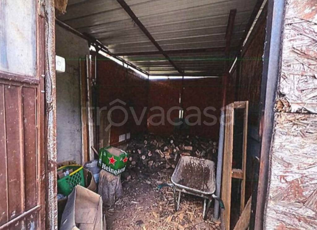 immagine annuncio 3 di 11