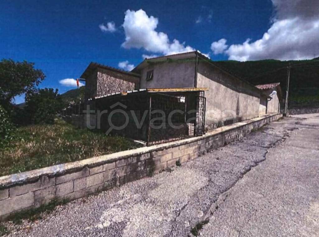 immagine annuncio 5 di 11