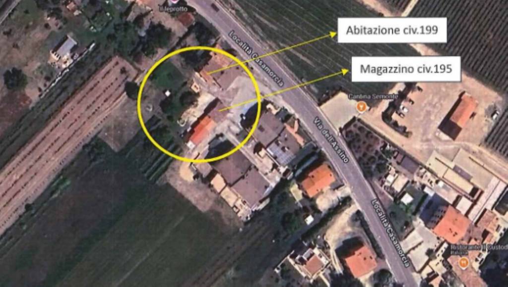 immagine annuncio 6 di 11