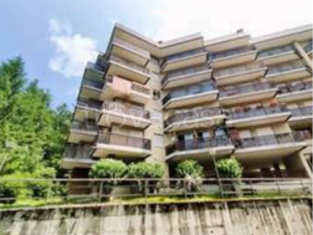 immagine annuncio 3 di 12