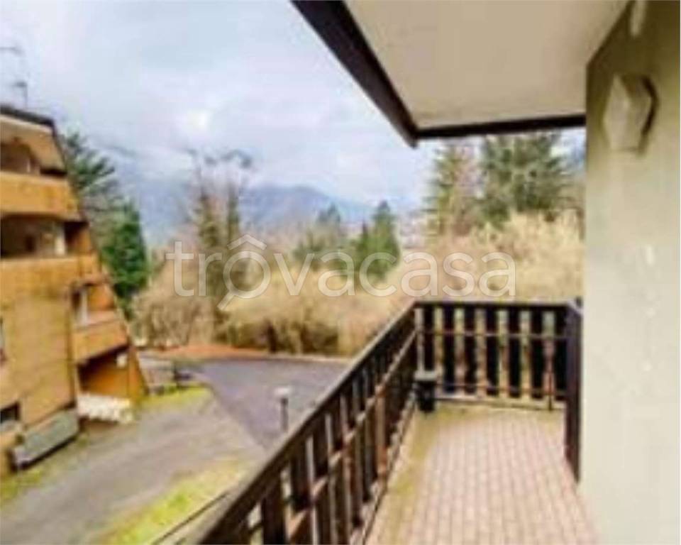 immagine annuncio 5 di 12