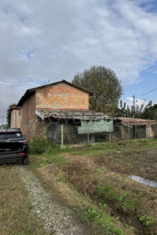 immagine annuncio 6 di 11