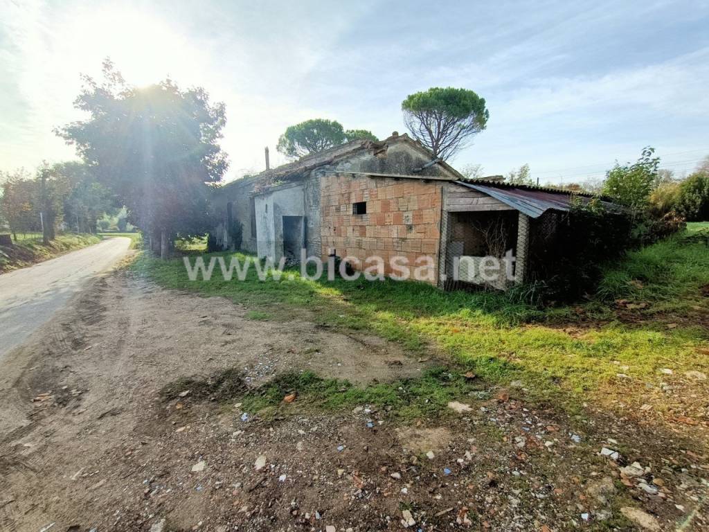 immagine annuncio 2 di 6