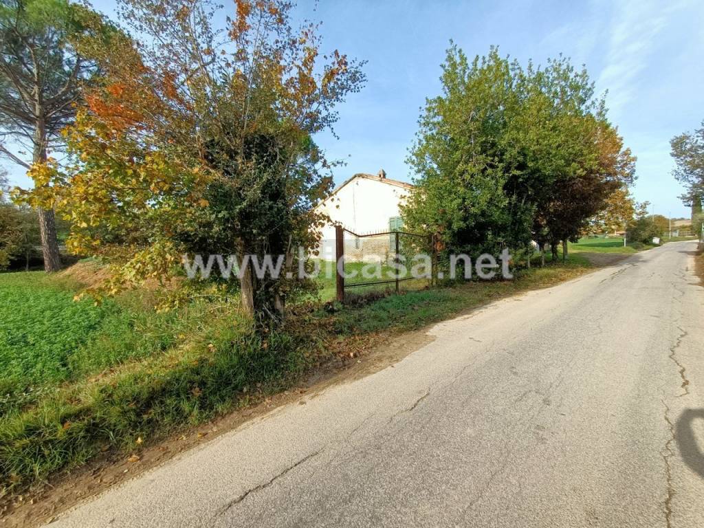 immagine annuncio 4 di 6