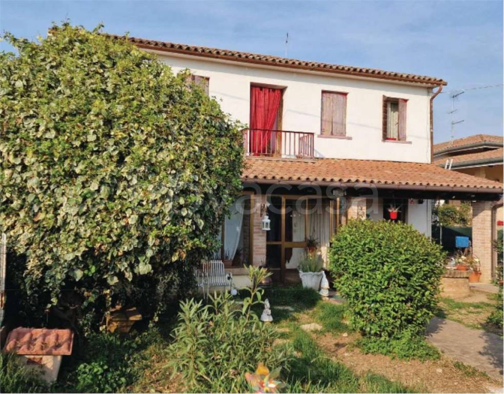 immagine annuncio 12 di 13