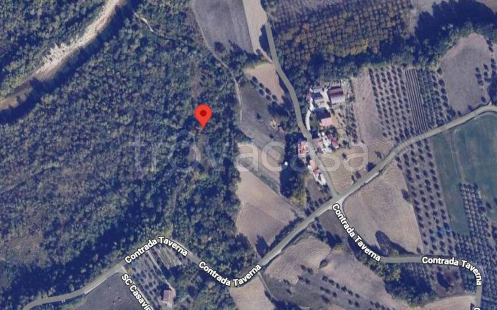 immagine annuncio 8 di 11