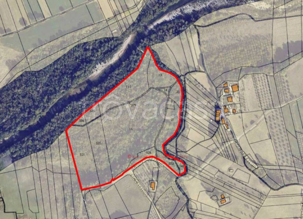 immagine annuncio 9 di 11