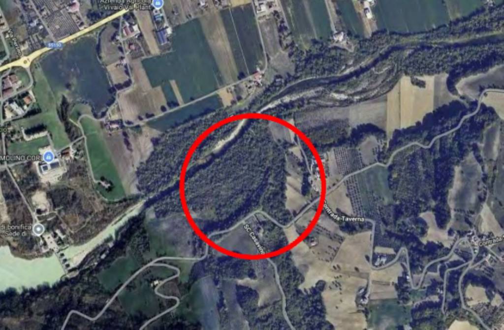 immagine annuncio 6 di 11