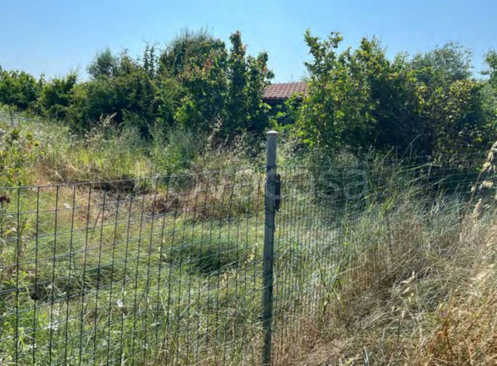 immagine annuncio 2 di 11