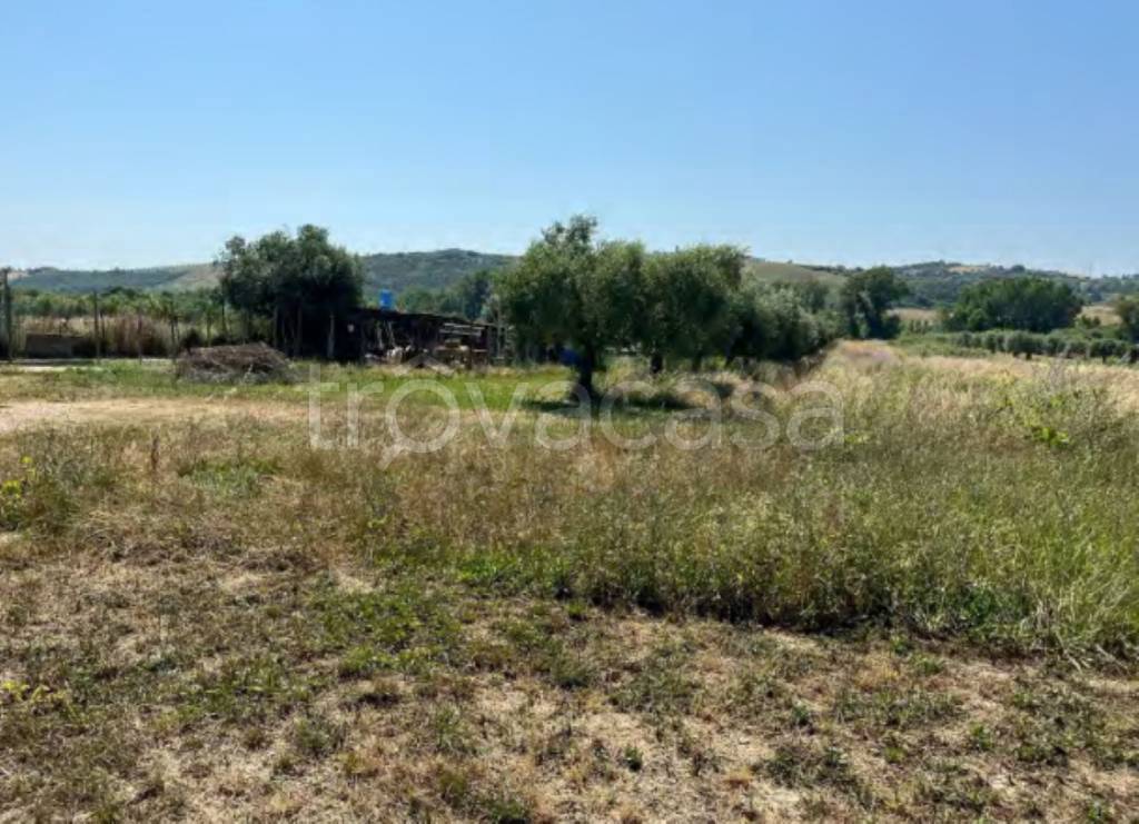 immagine annuncio 4 di 11