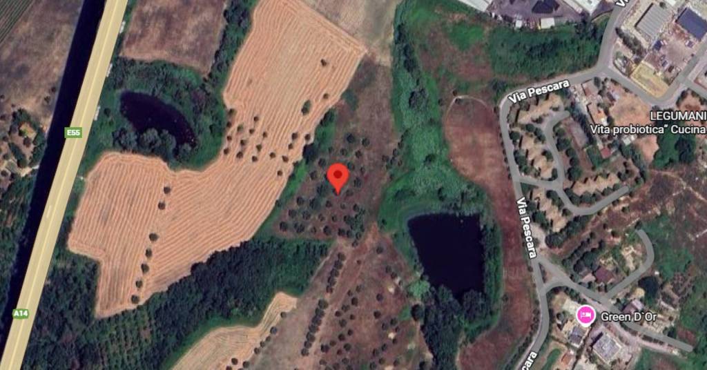 immagine annuncio 8 di 11