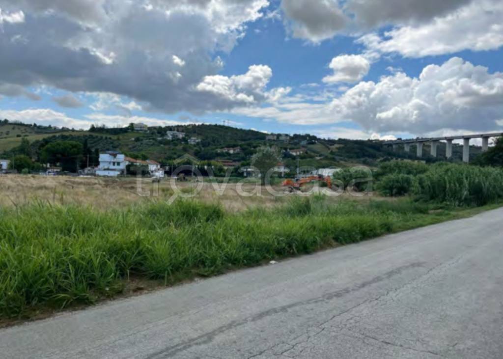 immagine annuncio 1 di 11