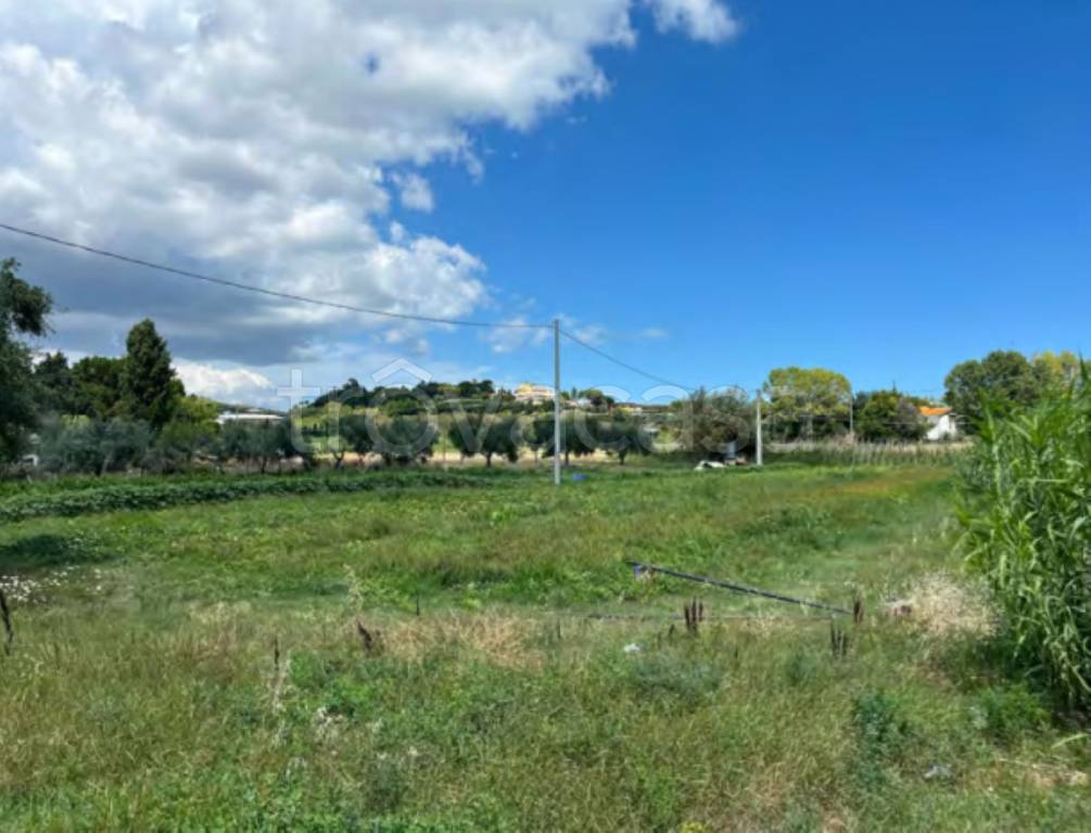 immagine annuncio 2 di 11