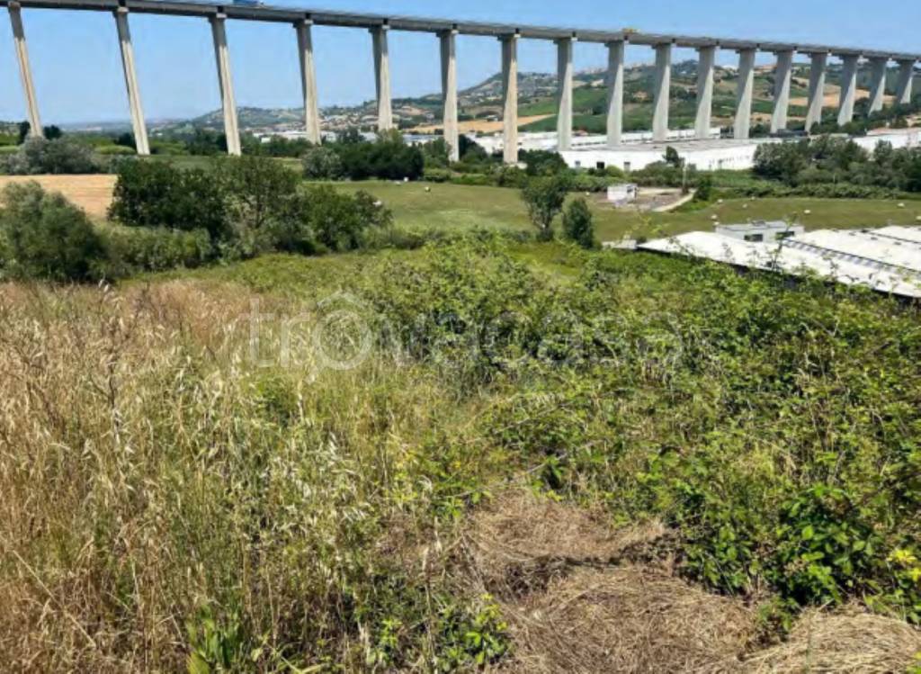 immagine annuncio 3 di 11