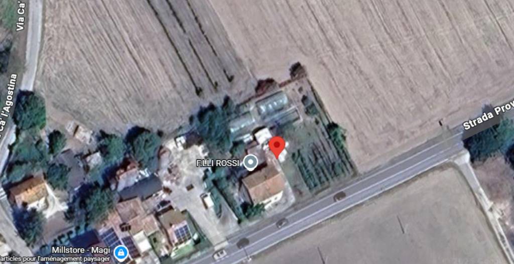 immagine annuncio 5 di 11