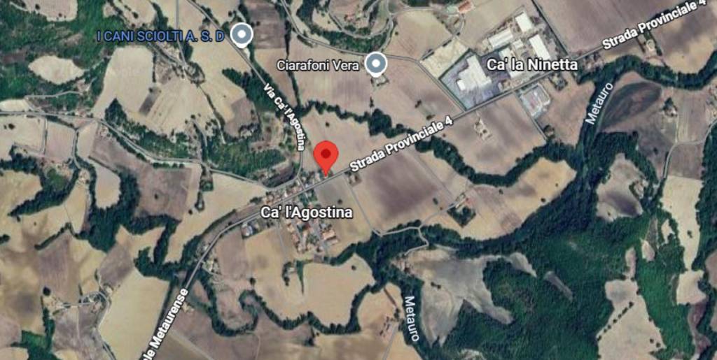 immagine annuncio 3 di 11