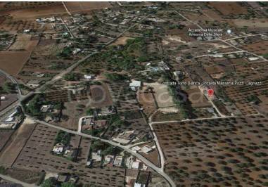 immagine annuncio 6 di 12