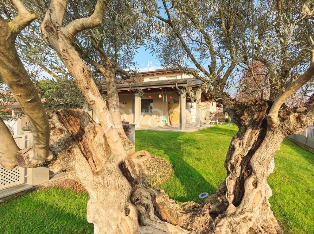 immagine annuncio 1 di 15