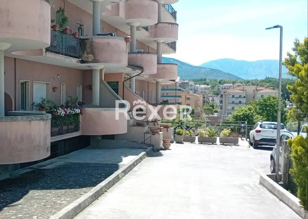 immagine annuncio 2 di 4