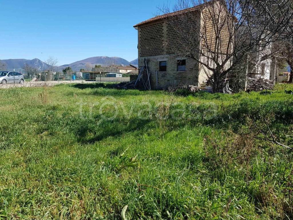 immagine annuncio 3 di 14