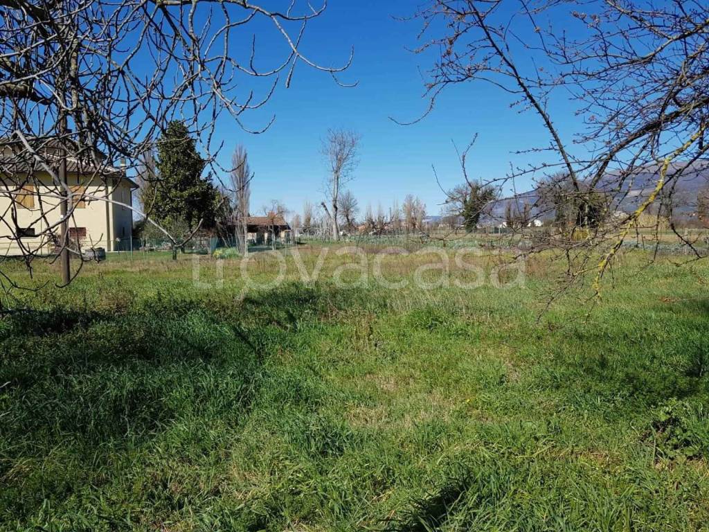 immagine annuncio 5 di 14