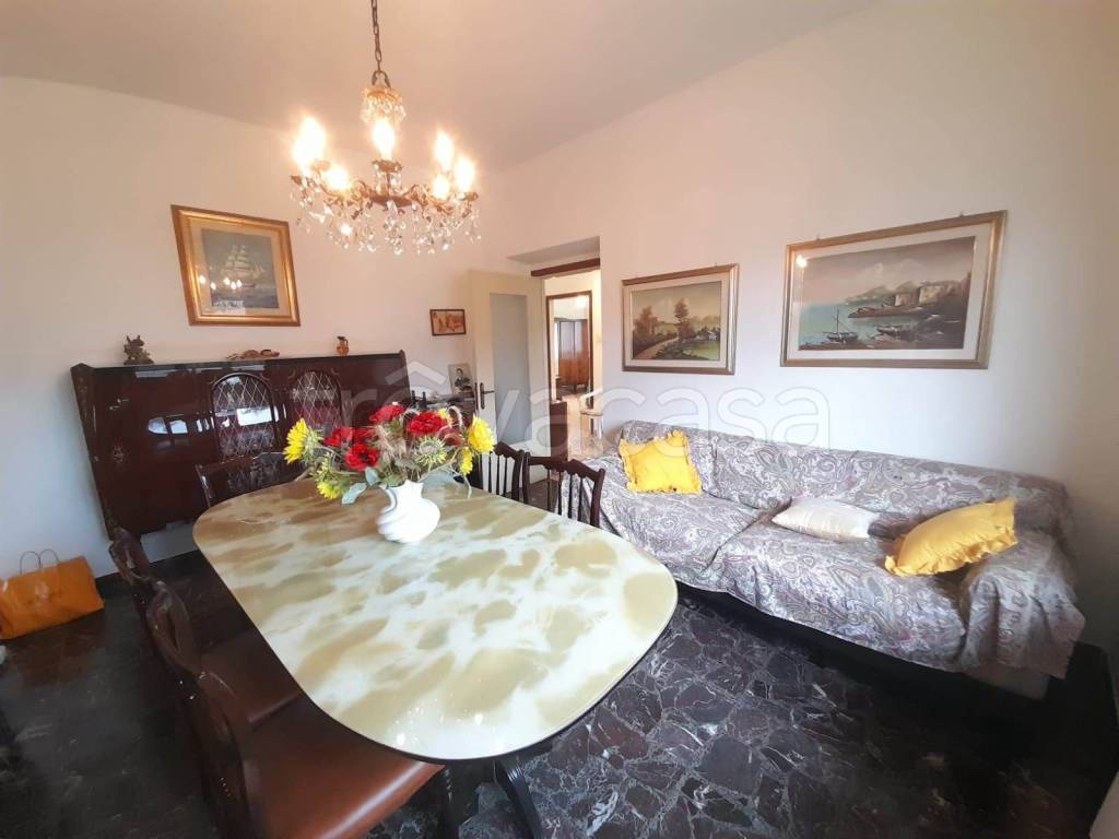 immagine annuncio 3 di 14