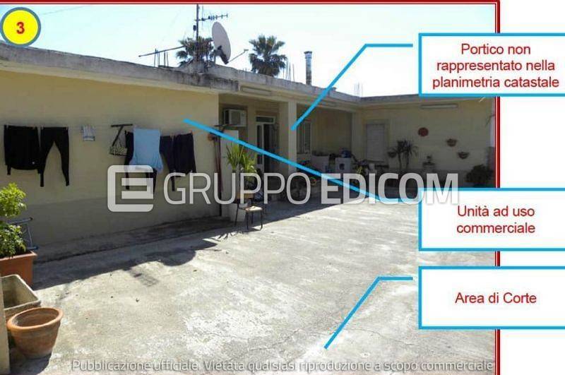 immagine annuncio 2 di 7