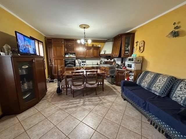 immagine annuncio 11 di 14