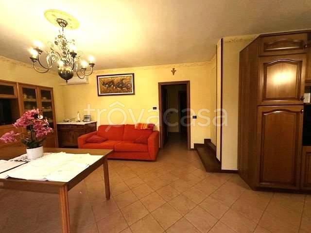 immagine annuncio 5 di 14