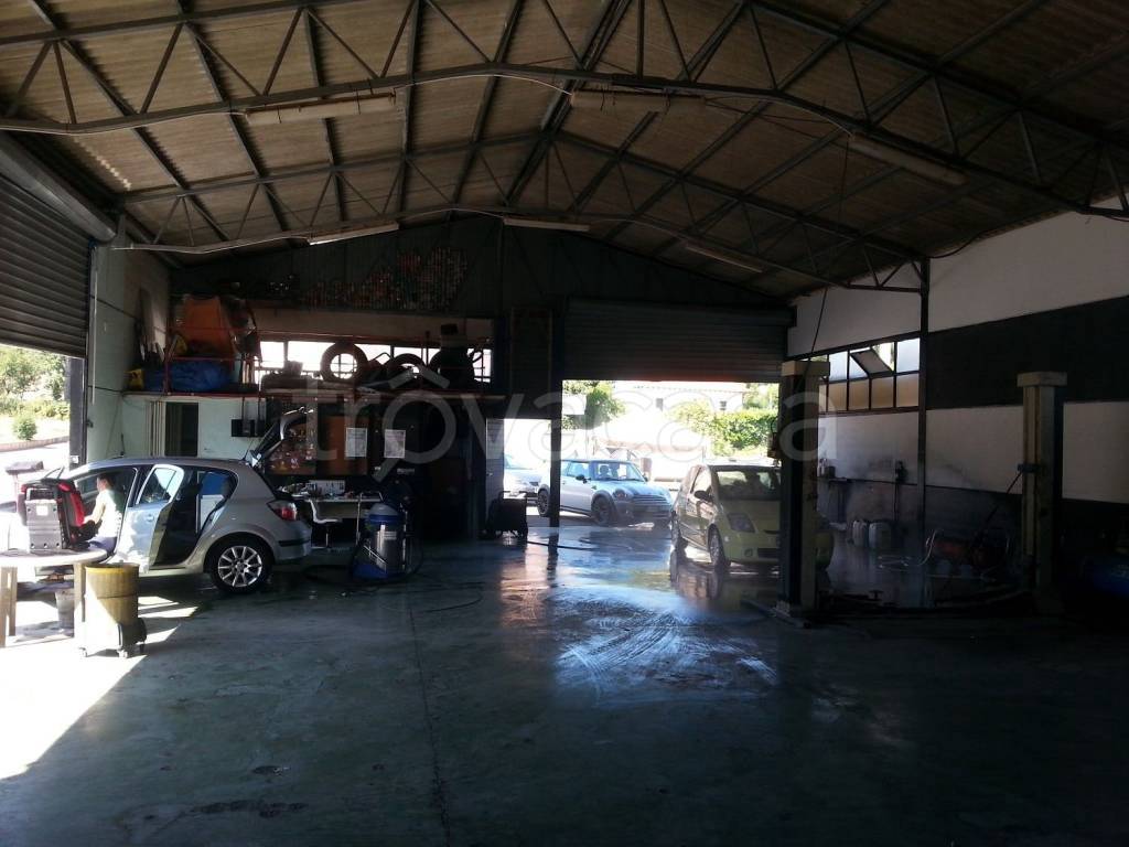 immagine annuncio 11 di 15