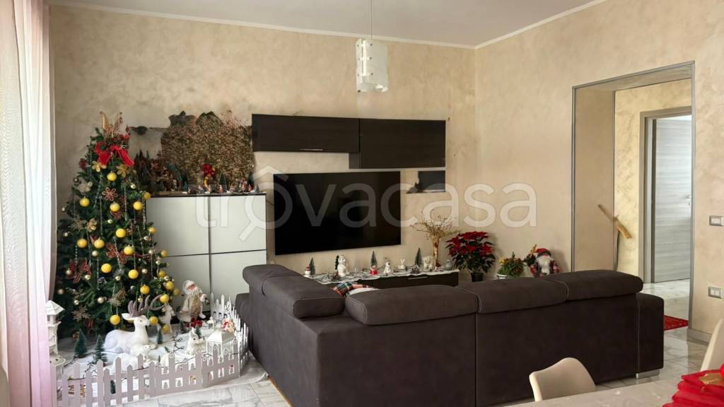 immagine annuncio 4 di 14