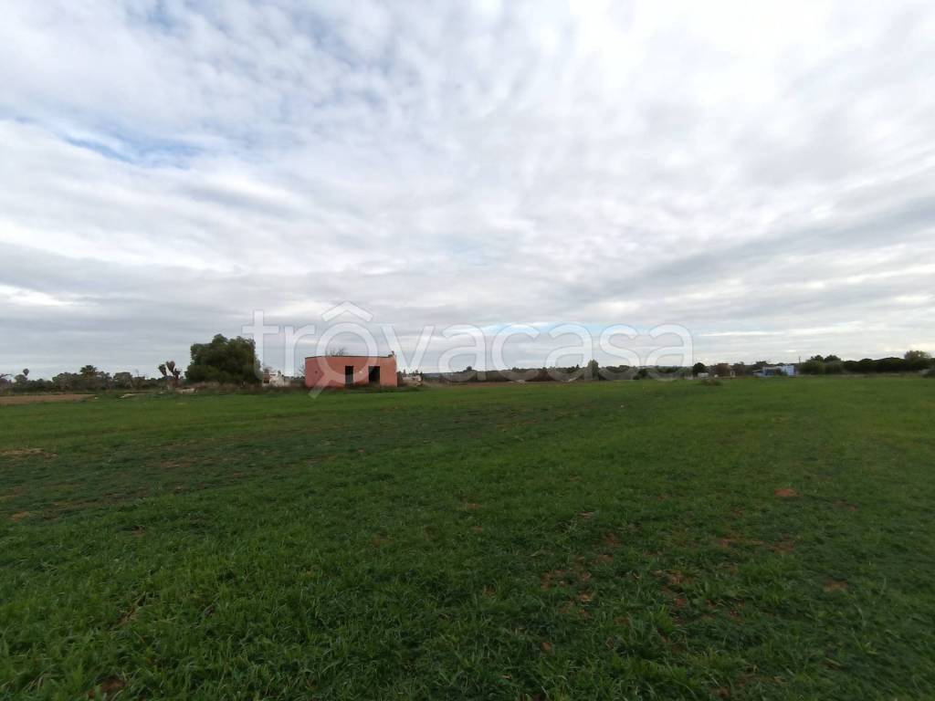 immagine annuncio 1 di 4