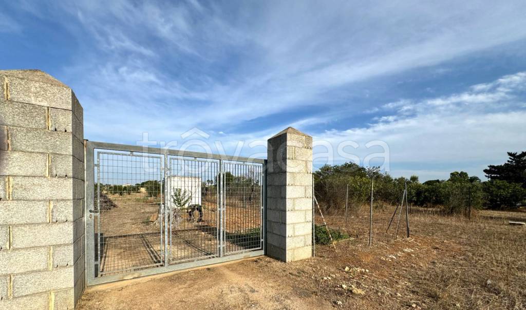 immagine annuncio 1 di 4