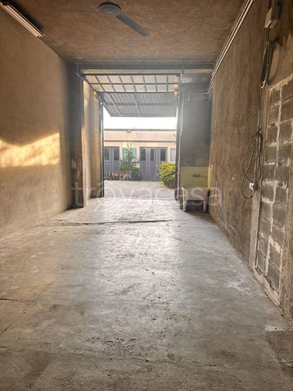 immagine annuncio 1 di 14