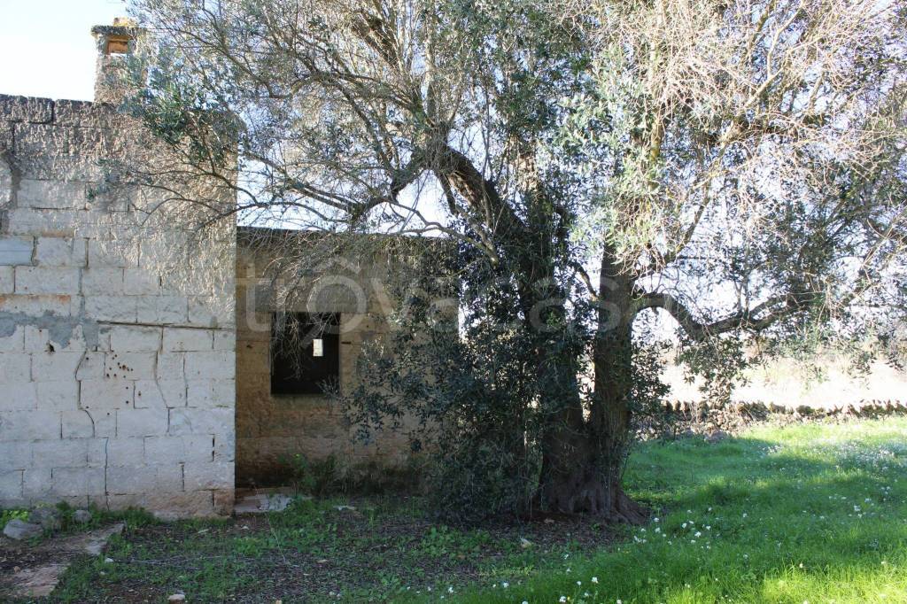 immagine annuncio 4 di 14