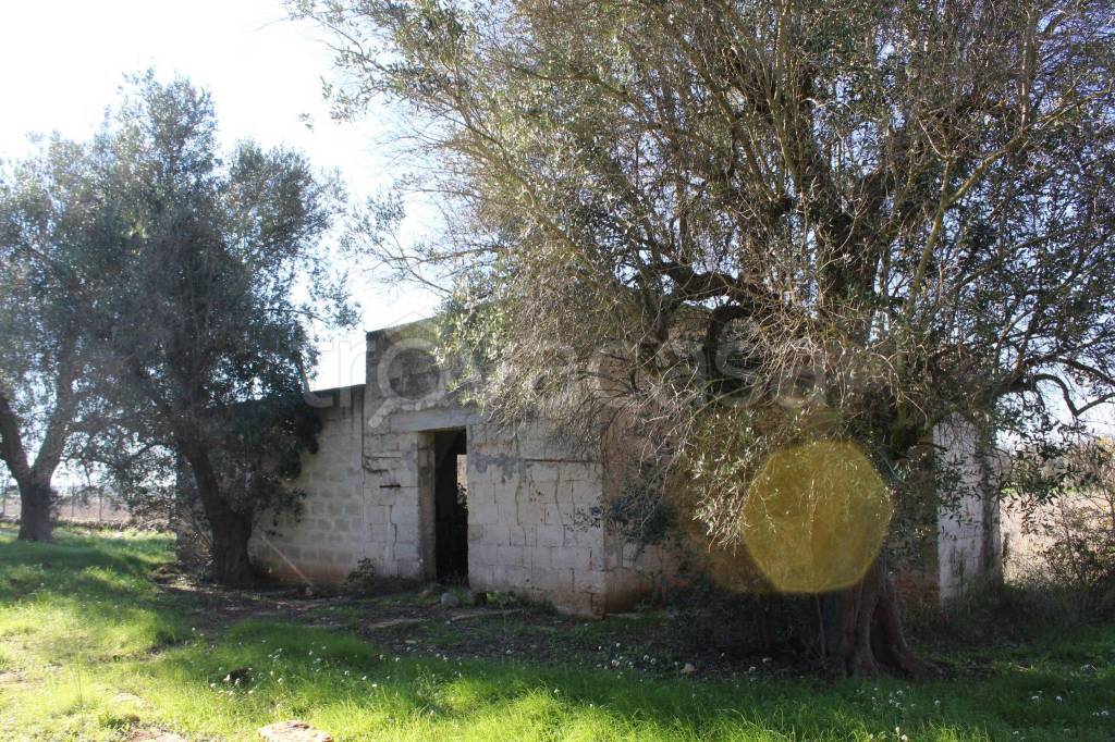 immagine annuncio 5 di 14