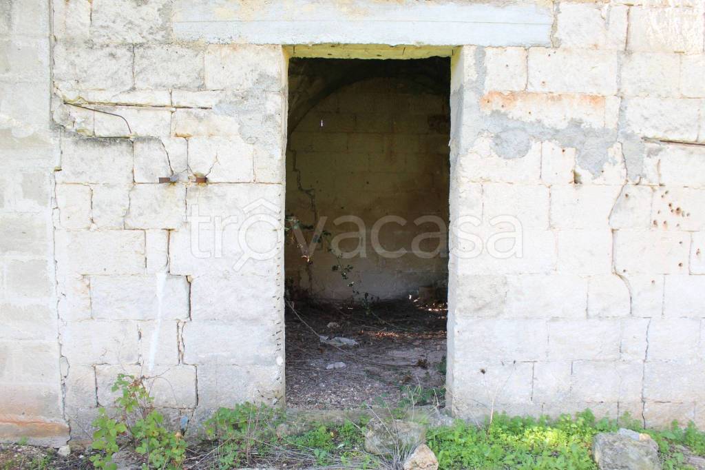 immagine annuncio 6 di 14