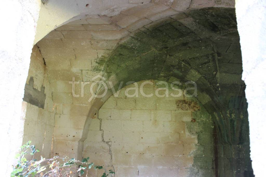 immagine annuncio 7 di 14