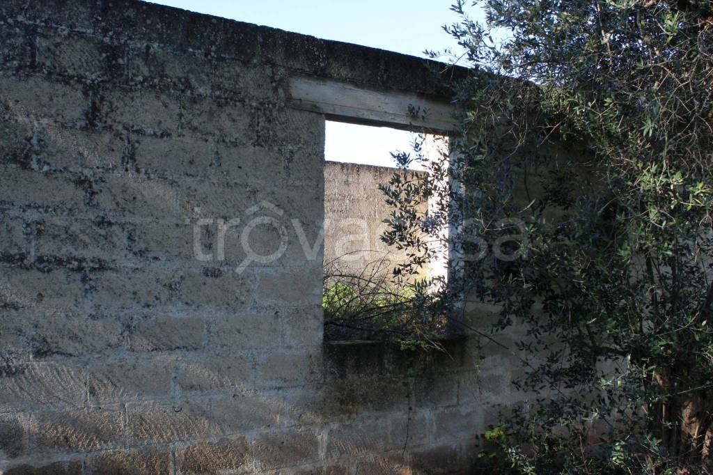 immagine annuncio 10 di 14