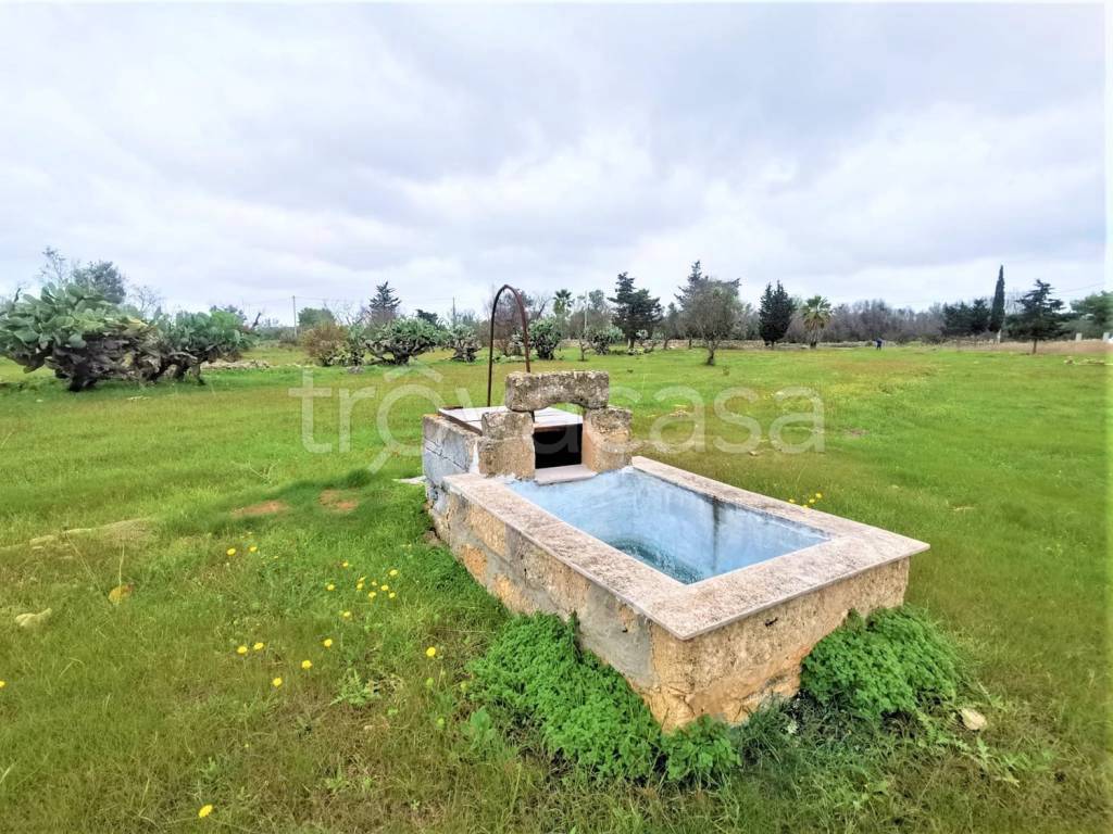 immagine annuncio 1 di 9