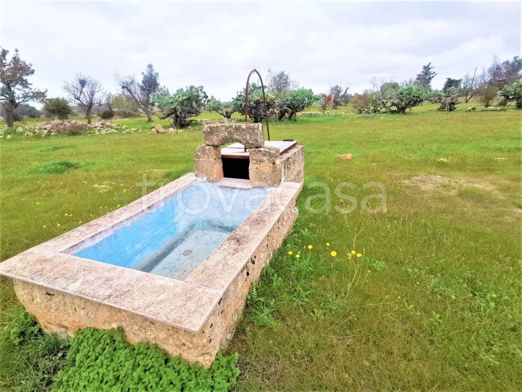 immagine annuncio 2 di 9