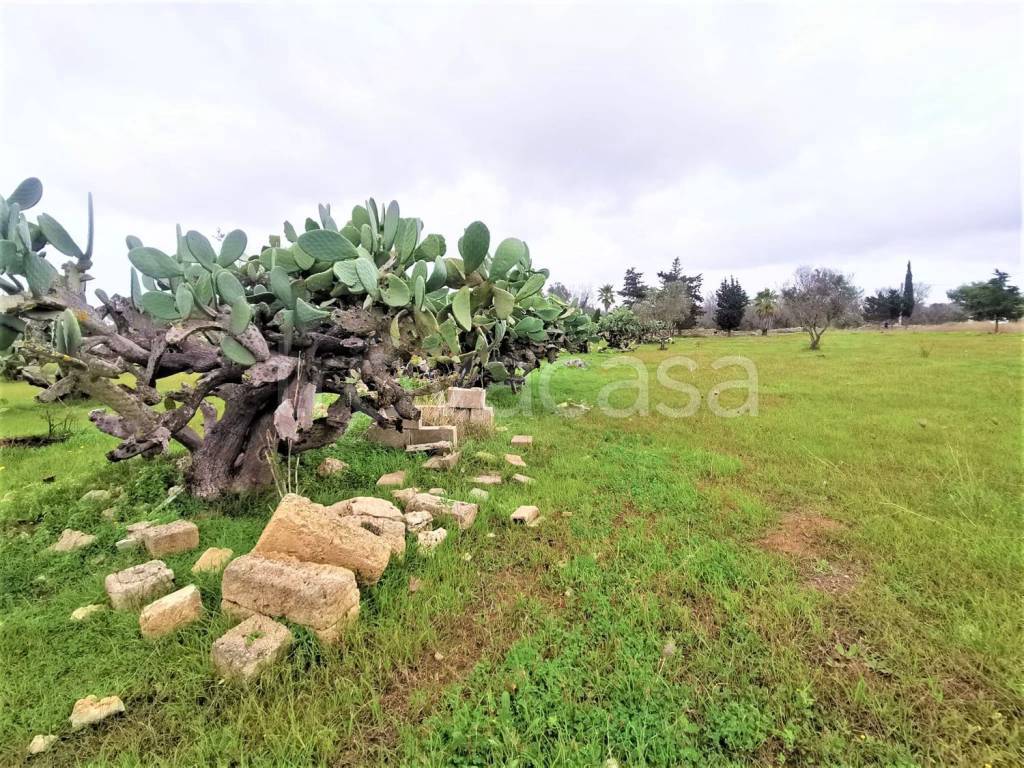 immagine annuncio 7 di 9