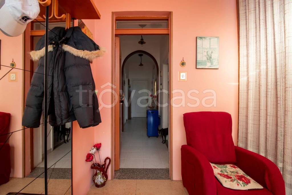 immagine annuncio 7 di 14