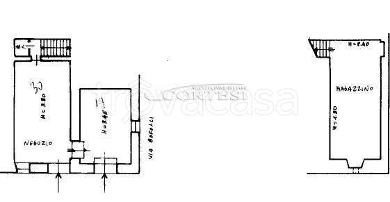 immagine annuncio 12 di 13