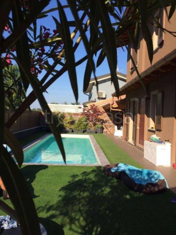 immagine annuncio 3 di 8