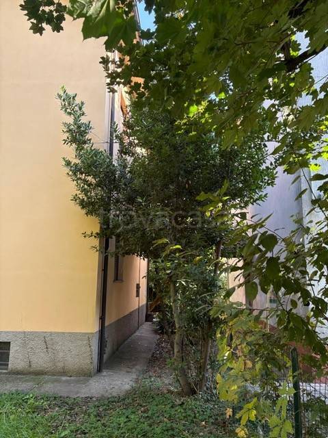 immagine annuncio 11 di 14