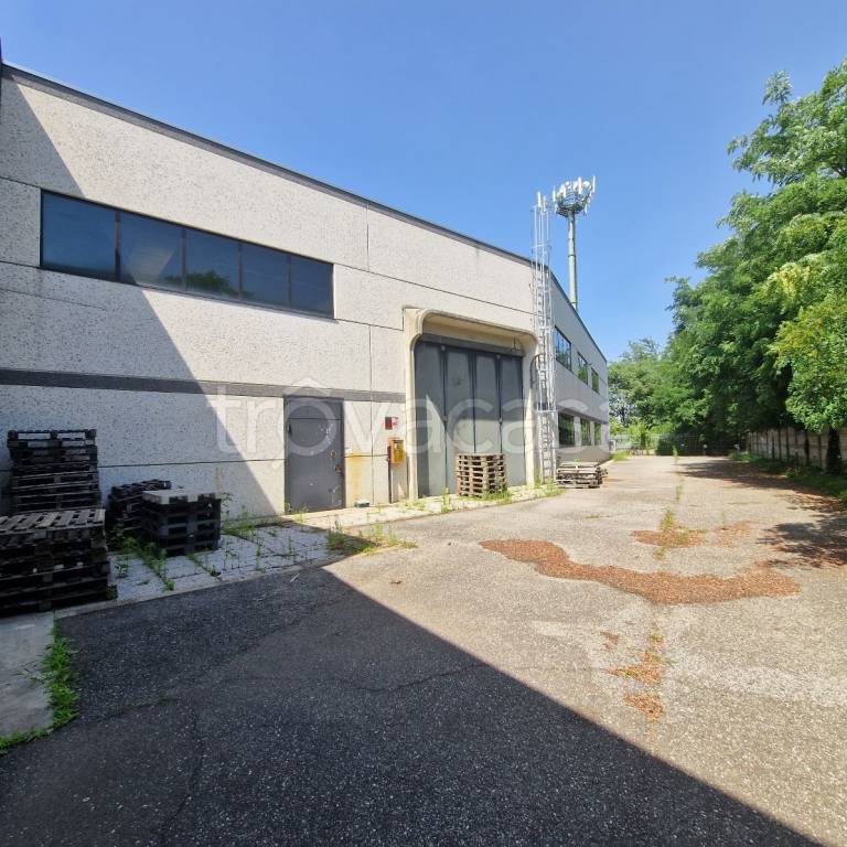 immagine annuncio 2 di 15